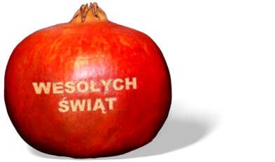 owoc granatu z logo